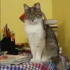 Отзыв от Алина Кононова